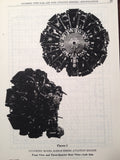 1939-1947 Lycoming R-680 and R-530 Operator's Manual.