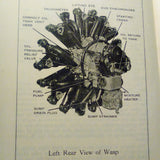 Pratt & Whitney Wasp Series C,  R-1340-A, B & C Engines Technical Handbook.  Circa 1929.